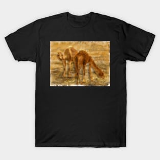 Friendly Camels in Iran T-Shirt